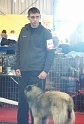 n°94 Chentyt des loups de la foret sacrée 5424